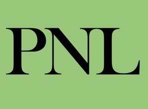 dominique narbeburu maitre praticien PNL sud-gironde