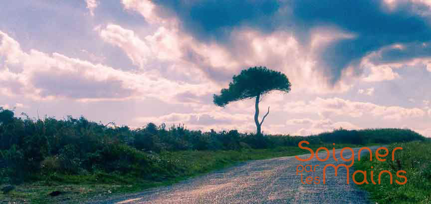 soigner par les mains soins reiki a distance