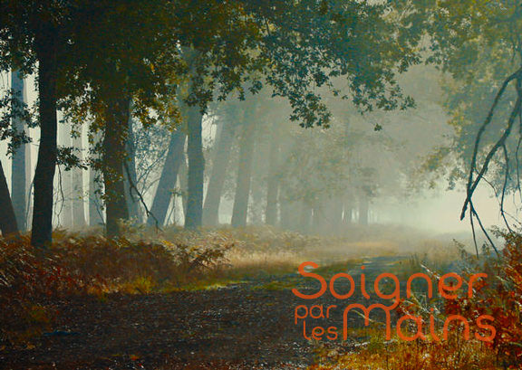 soleil reiki PNL bazas.jpg