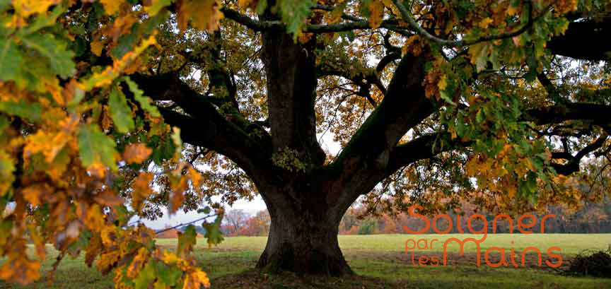 reiki et pnl bazas casteljaloux langon